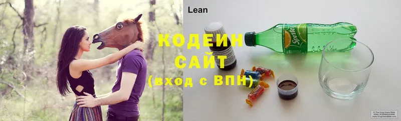 даркнет как зайти  Жердевка  Кодеин Purple Drank  что такое наркотик 